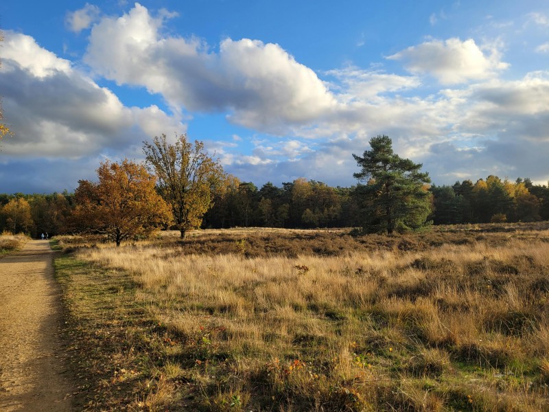 De Veluwe